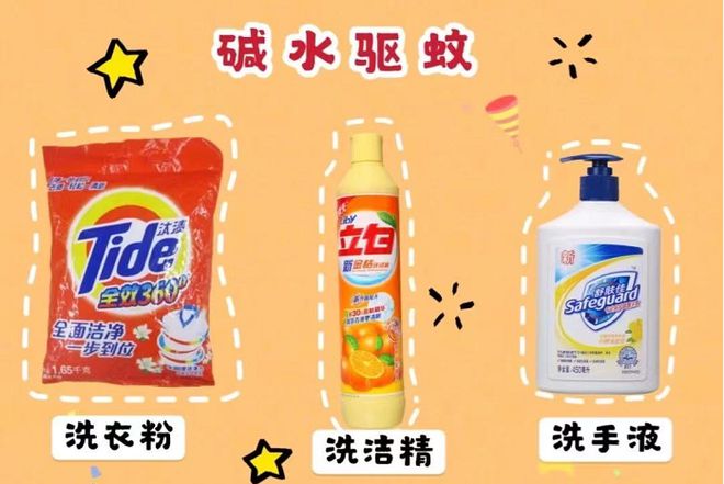 蚊虫即将出没三招教你做好防护(图2)