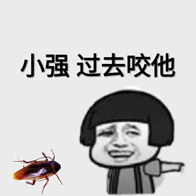 如何彻底消灭家中的蟑螂(图1)