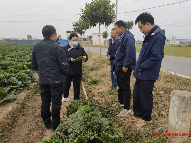 焦作高新区阳庙镇：科学施药环保有序灭虫害(图1)