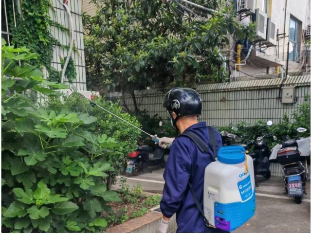 国庆临近TA们开展节前市容环境专项整治行动(图4)