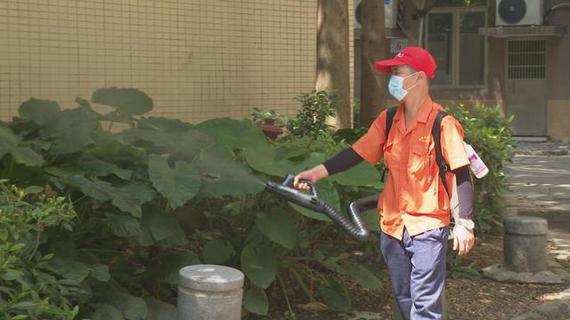 预防登革热就要避开蚊虫叮咬的两个时间(图2)
