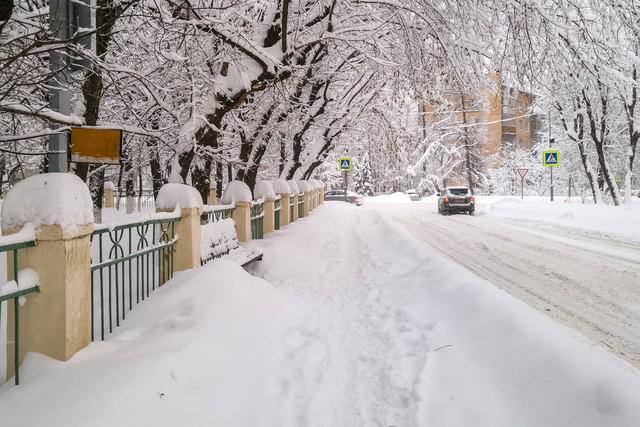 “今年冬天有多冷就看大雪这一天”大雪到了具体要怎么看？(图3)
