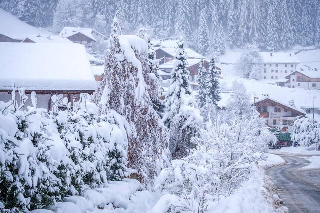 “今年冬天有多冷就看大雪这一天”大雪到了具体要怎么看？(图6)