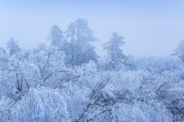 “今年冬天有多冷就看大雪这一天”大雪到了具体要怎么看？(图4)