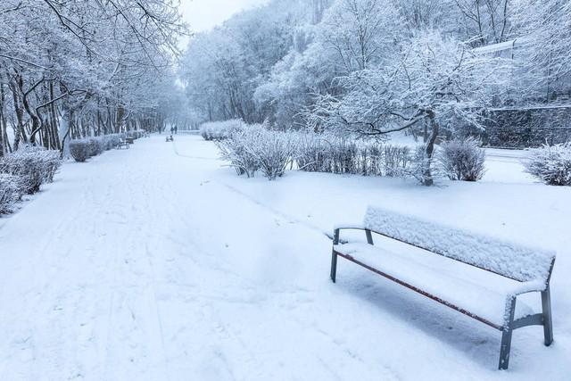 “今年冬天有多冷就看大雪这一天”大雪到了具体要怎么看？(图5)