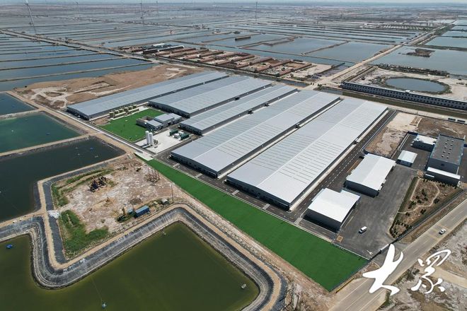 科技助力利津县工厂化养虾新模式来了！(图2)