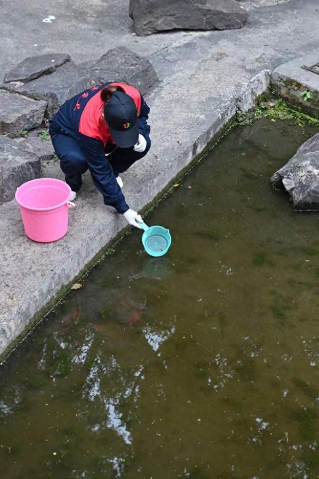 上海主要的五类蚊虫竟然喜欢藏在这里！“止叮卫士”们正在集中控制中(图1)
