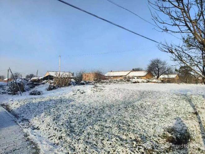 老话“最怕大雪不下雪”是啥意思？大雪不下雪有啥预兆？俗话咋说(图1)