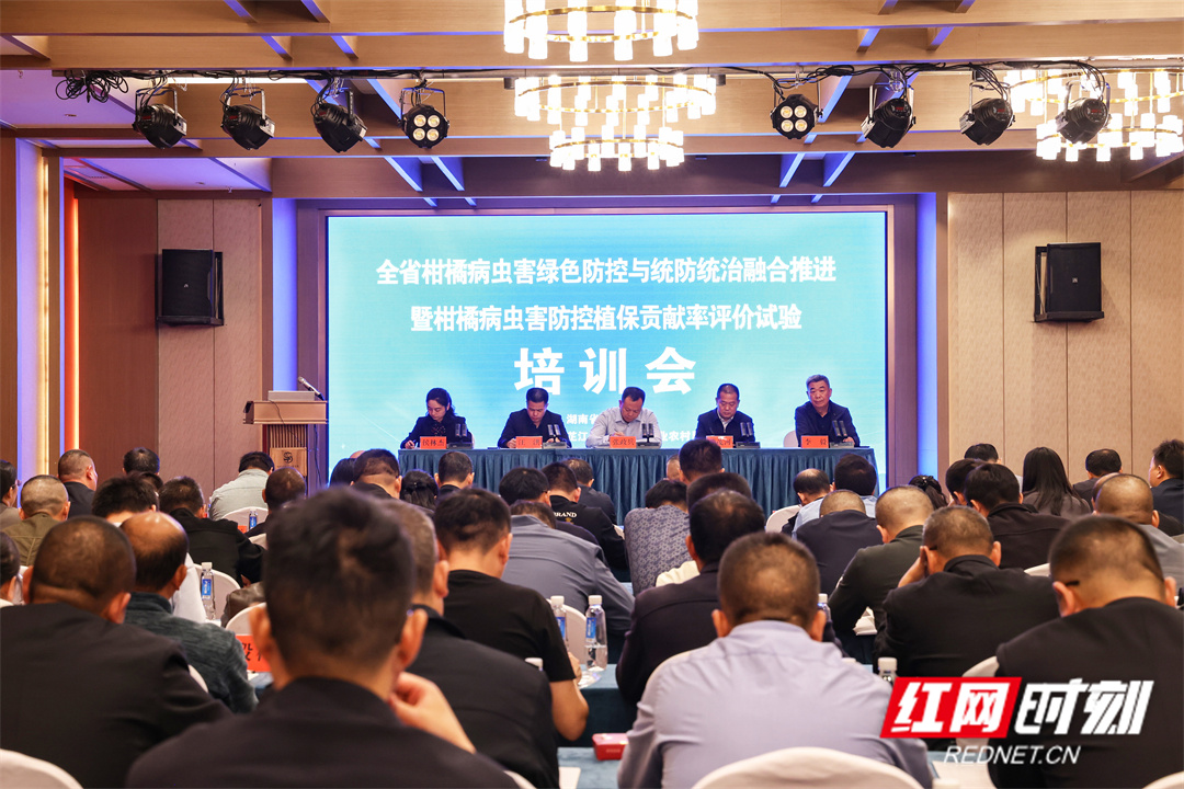 湖南省柑橘病虫害绿色防控与统防统治融合推进会在芷江举行(图1)