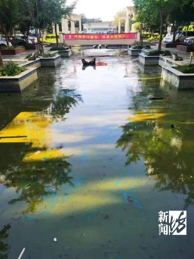苦透苦透！沪某小区居民集体抱怨：甩都甩不掉(图2)
