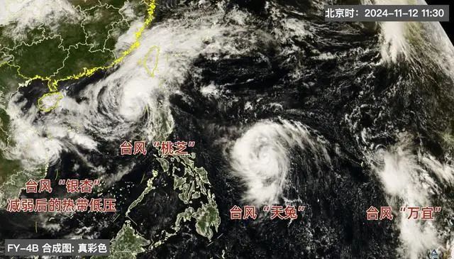 热搜！“一件T恤从3月穿到11月”广州破夏长纪录！长沙28℃武汉26℃杭州23℃网友：冬天在哪里？(图4)