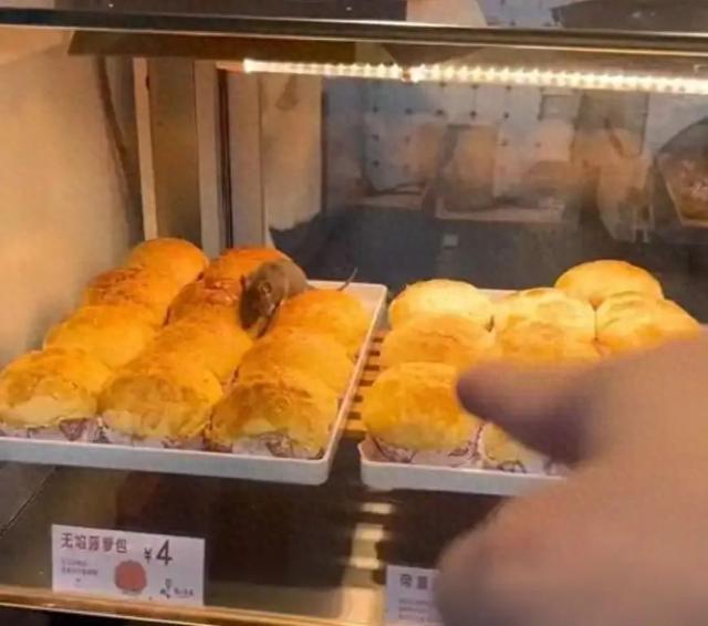 “浓心爷爷”一门店被曝面包柜里老鼠乱爬市监局最新回应(图1)
