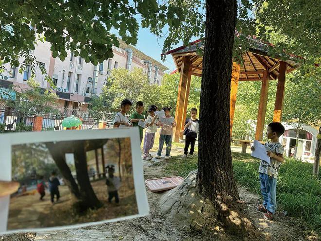 小学、幼儿园项目式学习案例——大树为什么倒了？(图4)