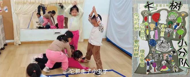 小学、幼儿园项目式学习案例——大树为什么倒了？(图8)