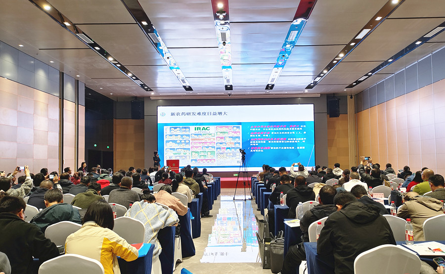 江淮新闻网(图1)