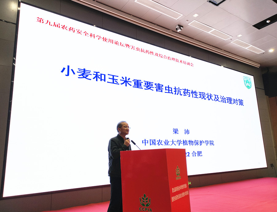 江淮新闻网(图2)
