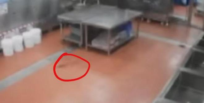 海口一小学食堂被曝存在鼠迹三防设施查实有漏洞！已停供餐(图1)