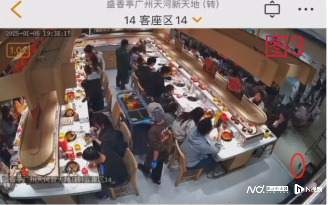 就餐时老鼠爬上餐桌餐饮品牌：全额退款！(图2)