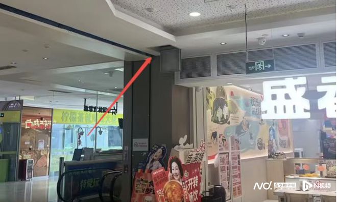 就餐时老鼠爬上餐桌餐饮品牌：全额退款！(图3)