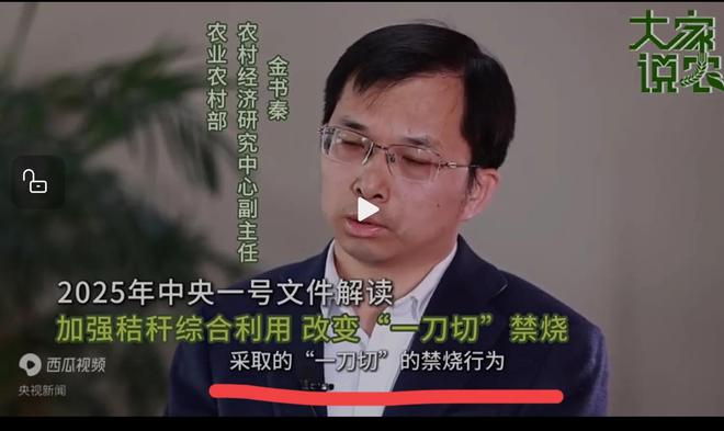 央视新闻报道!解读“一号文件”重点提到秸秆焚烧要结束一刀切!(图4)