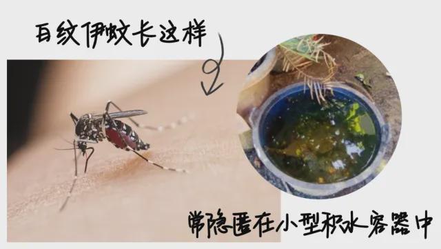 28℃！广东网友抓狂：家里怎么还有？(图3)