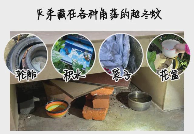 28℃！广东网友抓狂：家里怎么还有？(图2)