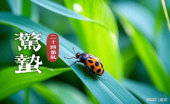 惊蛰节气牢记：吃3样做2事忌3事！顺应天时养出好气色(图1)