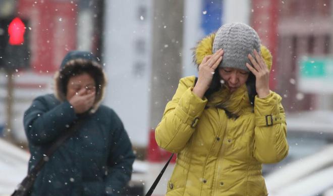 今年冬天很反常“三九多晴天”有啥预兆吗？今年是暖冬？(图3)