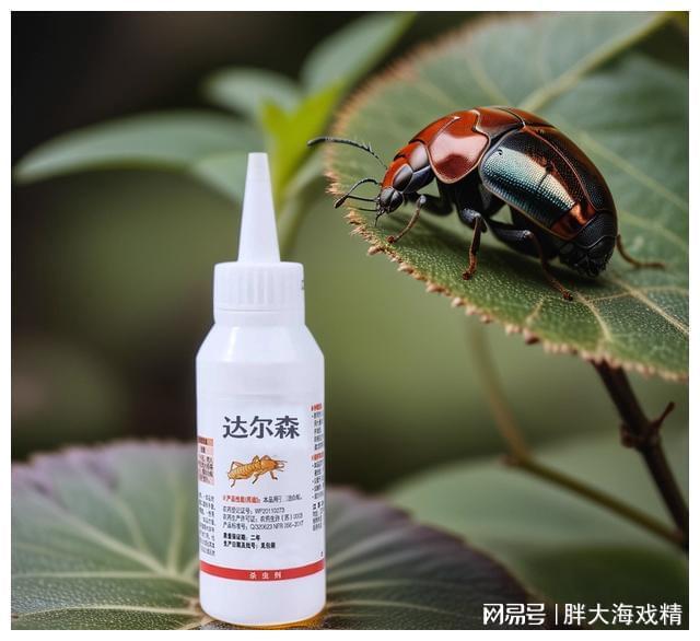 消灭土壤里马陆虫的小妙招土壤中马陆虫困扰？小招帮你驱除！(图3)