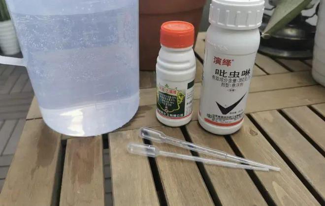 花草养得多了难免会有害虫这2种杀虫剂杀虫效果很明显(图6)