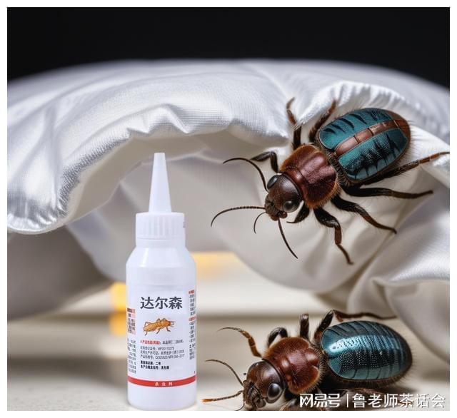 马陆虫怎么彻底消灭如何彻底消灭马陆虫？3个致命武器揭秘！(图3)