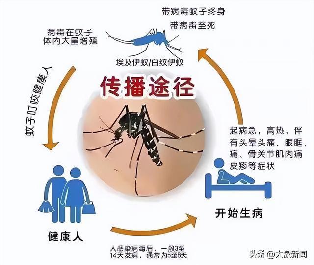 广州一社区现登革热确诊病例居委会：目前无新增继续消杀(图2)