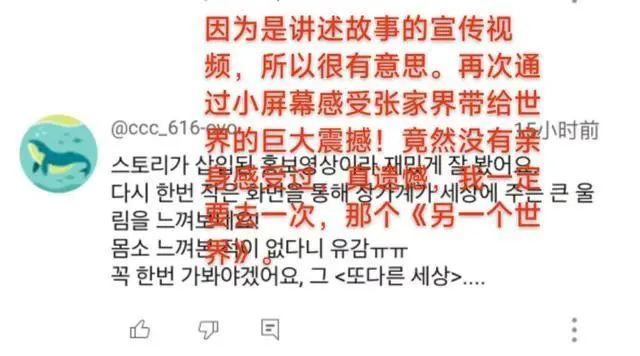 最新“韩潮”：周五下班去中国！宣传片火“出圈”“张家界长满了韩国人”！外交部：欢迎继续“种草”中国(图8)