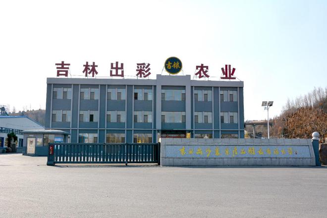 蛇年新启出彩同行(图3)
