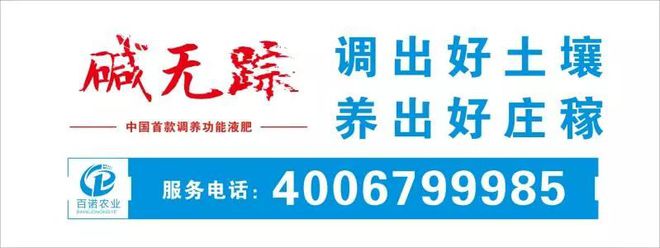 “万能”杀虫剂配方几个配方几乎可杀死所有害虫关键还杀卵(图5)