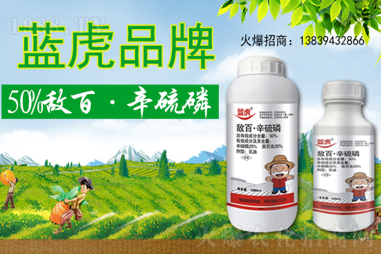 地下害虫难杀灭？收藏这10个方法帮你消灭地下害虫！(图1)