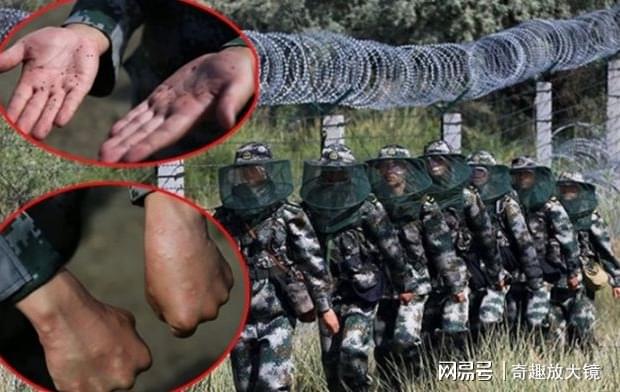 中国危险的边防区已有7条军犬被咬死士兵出门需全副武装(图2)