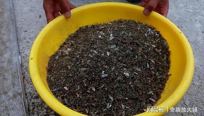 中国危险的边防区已有7条军犬被咬死士兵出门需全副武装(图4)
