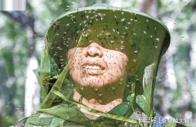 中国危险的边防区已有7条军犬被咬死士兵出门需全副武装(图5)
