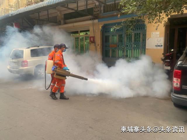 金边进行大规模灭蚊行动预防登革热！(图1)