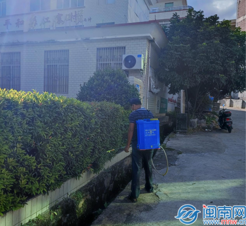 平和大溪：开展防蚊灭蚊爱国卫生专项行动(图2)