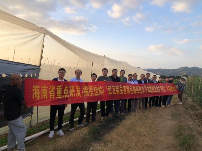 海南：多家单位联合推动豇豆病虫害绿色防控技术节本增收(图1)