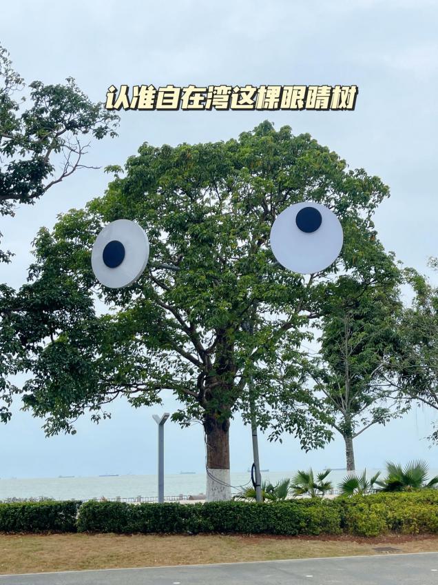 2025海口元宵烟花晚会最佳观赏点公布：七大地点一览无余(图2)