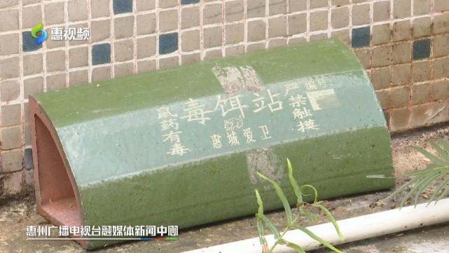 夏季雨后蚊虫多公园社区消杀忙(图4)