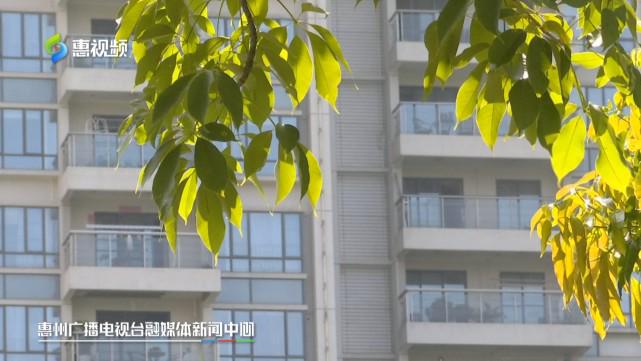 夏季雨后蚊虫多公园社区消杀忙(图5)