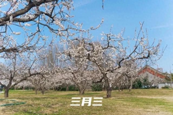 不是迷信！明天三月三最不能做5件事别忘了告诉家人！(图1)