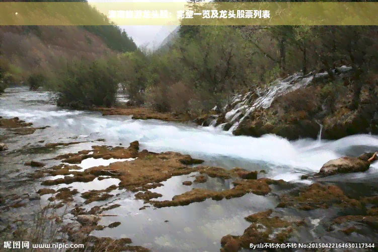海南旅游龙头股：完整一览及龙头股票列表(图1)