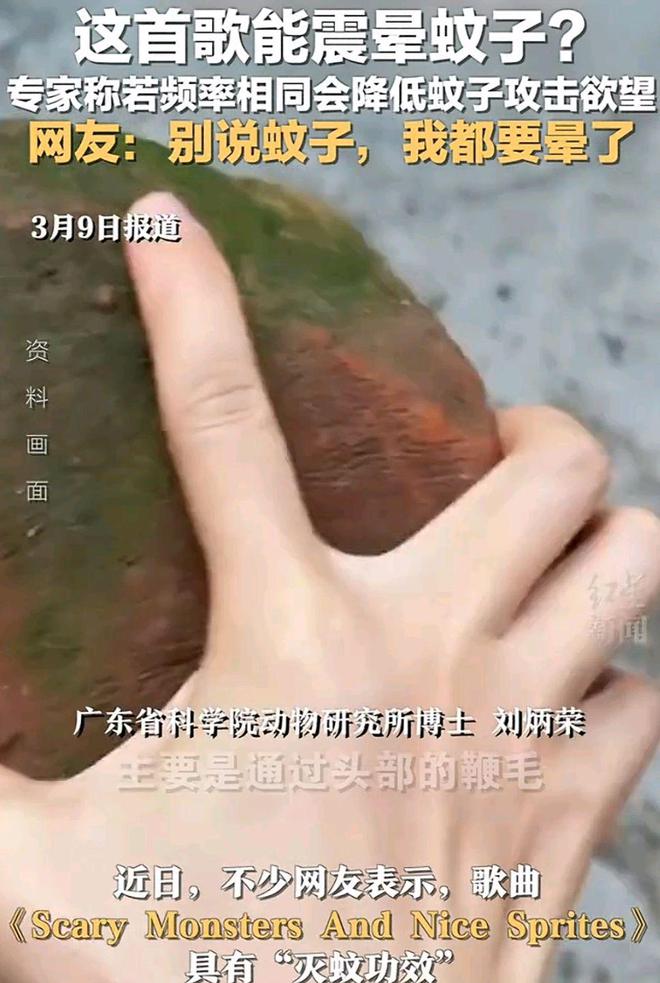 灭蚊神曲震晕蚊子被网友亲测有效去新疆旅游可以用上了(图5)