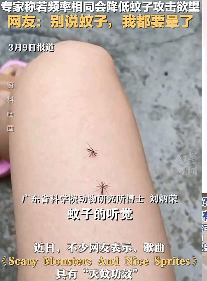 灭蚊神曲震晕蚊子被网友亲测有效去新疆旅游可以用上了(图3)