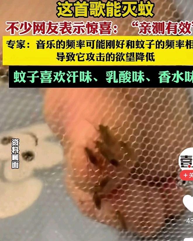 灭蚊神曲震晕蚊子被网友亲测有效去新疆旅游可以用上了(图6)